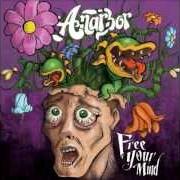 El texto musical THE BRIGHTEST GREEN de ANARBOR también está presente en el álbum Free your mind (2009)