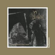 El texto musical AUTUMN IS THE BEAUTY OF PAIN de PENITENT también está presente en el álbum The beauty of pain (1997)