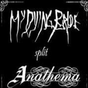 El texto musical ONE OF THE FEW de ANATHEMA también está presente en el álbum Anathema and my dying bride - split w/ my dying bride (1998)