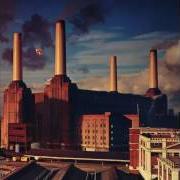 El texto musical SHEEP de PINK FLOYD también está presente en el álbum Animals (1977)