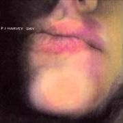 El texto musical O STELLA de PJ HARVEY también está presente en el álbum Dry (1992)