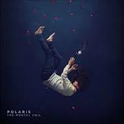 El texto musical CASUALTY de POLARIS también está presente en el álbum The mortal coil (2017)