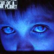 El texto musical MY ASHES de PORCUPINE TREE también está presente en el álbum Fear of a blank planet (2007)