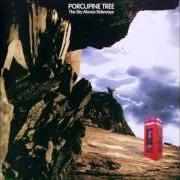 El texto musical WIRE THE DRUM de PORCUPINE TREE también está presente en el álbum Sky moves sideways (1995)