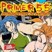 Introduction to mayhem