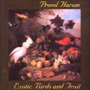El texto musical FRESH FRUIT de PROCOL HARUM también está presente en el álbum Exotic birds and fruit (1974)