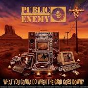El texto musical CROSSROADS BURNING (INTERLUDE) de PUBLIC ENEMY también está presente en el álbum What you gonna do when the grid goes down? (2020)