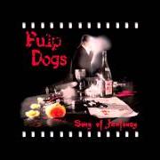 El texto musical LITTLE SUMMER RAIN de PULP DOGS también está presente en el álbum Song of jealousy (2006)