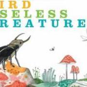El texto musical EFFIGY de ANDREW BIRD también está presente en el álbum Noble beast / useless creatures (2009)