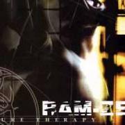 El texto musical SENSE de RAM-ZET también está presente en el álbum Pure therapy (2000)