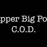 El texto musical ROLL CALL de RAPPER BIG POOH también está presente en el álbum The delightful bars: north american pie version (2009)