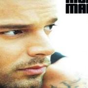 El texto musical QUE MAS DA (I DON'T CARE) (LUNY TUNES REGGAETON MIX) de RICKY MARTIN también está presente en el álbum Life (2005)