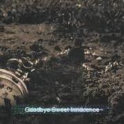 Memories in my head Memories in my head