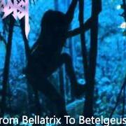 El texto musical FROM BELLATRIX TO BETELGEUSE de SADIST también está presente en el álbum Tribe (1996)