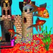 Little plastic castle