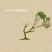 El texto musical NICOTINE de ANI DIFRANCO también está presente en el álbum Reprieve (2006)