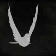 El texto musical TAMARA SONG de SARAH FIMM también está presente en el álbum White birds ep (2009)