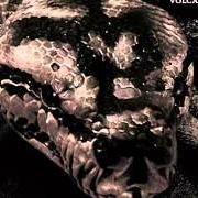 El texto musical EXISTENTIAL FEAR-QUESTIONS de SATYRICON también está presente en el álbum Volcano (2002)