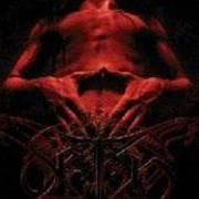 El texto musical COSMIC CURSED'S SHELTER de SETH también está presente en el álbum Divine x (2002)