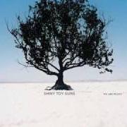 El texto musical SHAKEN de SHINY TOY GUNS también está presente en el álbum We are pilots (2006)