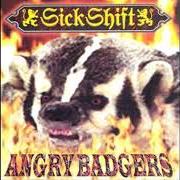 Angry badgers Angry badgers