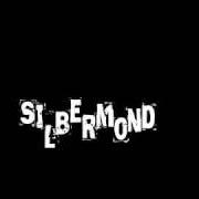 El texto musical SYMPHONIE de SILBERMOND también está presente en el álbum Verschwende deine zeit (2004)