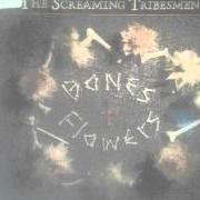 El texto musical BIG BUNCH OF JUNKIE LIES de SINEAD O'CONNOR también está presente en el álbum She who dwells... - disk1 (2003)