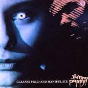 El texto musical THE MOURN de SKINNY PUPPY también está presente en el álbum Cleanse fold & manipulate (1987)