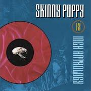 El texto musical CAGE de SKINNY PUPPY también está presente en el álbum Chainsaw (1987)