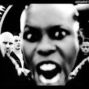 El texto musical SHE'S MY HEROINE de SKUNK ANANSIE también está presente en el álbum Stoosh (1997)