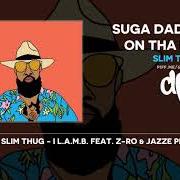 El texto musical PAID THE COST de SLIM THUG también está presente en el álbum Suga daddy slim: on tha prowl (2019)