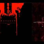 El texto musical SEVENTH CEREMONY de ANTAEUS también está presente en el álbum Cut your flesh and worship satan (2000)