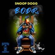 El texto musical CATCH A VIBE de SNOOP DOGG también está presente en el álbum Bodr (2022)