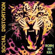 El texto musical CRAZY DREAMER de SOCIAL DISTORTION también está presente en el álbum Born to kill (2026)