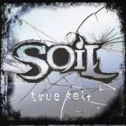 El texto musical INSIDE de SOIL también está presente en el álbum Scars (2001)