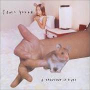 El texto musical SNARE, GIRL de SONIC YOUTH también está presente en el álbum A thousand leaves (1998)