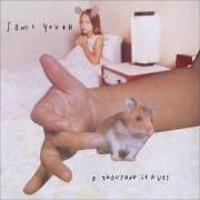 El texto musical THE INEFFABLE ME de SONIC YOUTH también está presente en el álbum A thousand leaves (1998)