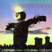 El texto musical FLOWER de SONIC YOUTH también está presente en el álbum Bad moon rising (1985)