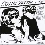 El texto musical CINDERELLA'S BIG SCORE de SONIC YOUTH también está presente en el álbum Goo (1990)
