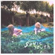 El texto musical DISCONNECTION NOTICE de SONIC YOUTH también está presente en el álbum Murray street (2002)