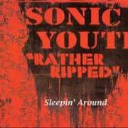 El texto musical LIGHTS OUT de SONIC YOUTH también está presente en el álbum Rather ripped (2006)
