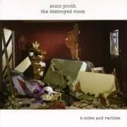 El texto musical QUEEN ANNE CHAIR de SONIC YOUTH también está presente en el álbum The destroyed room: b-sides and rarities (2006)