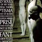 El texto musical DEAD SOULS de SOPOR AETERNUS también está presente en el álbum Es reiten die toten so schnell (2003)