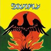 El texto musical PAIN de SOULFLY también está presente en el álbum Primitive (2000)