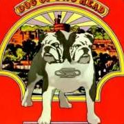 El texto musical SOMEONE'S LEARNING de STATUS QUO también está presente en el álbum Dog of two head (1971)