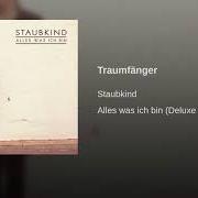 El texto musical STILLE TRÄNEN (REMIX BY LETZTE INSTANZ) de STAUBKIND también está presente en el álbum Traumfänger (2005)