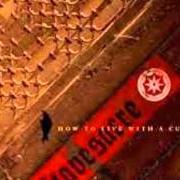 How to live with a curse