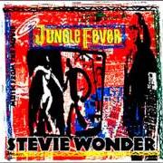 El texto musical IF SHE BREAKS YOUR HEART de STEVIE WONDER también está presente en el álbum Jungle fever (1991)