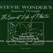 El texto musical KESSE YE LOLO DE YE de STEVIE WONDER también está presente en el álbum Stevie wonder's journey through the secret life of plants (1979)