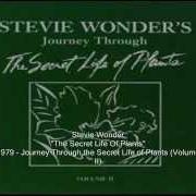 El texto musical AI NO, SONO de STEVIE WONDER también está presente en el álbum Stevie wonder's journey through the secret life of plants (1979)